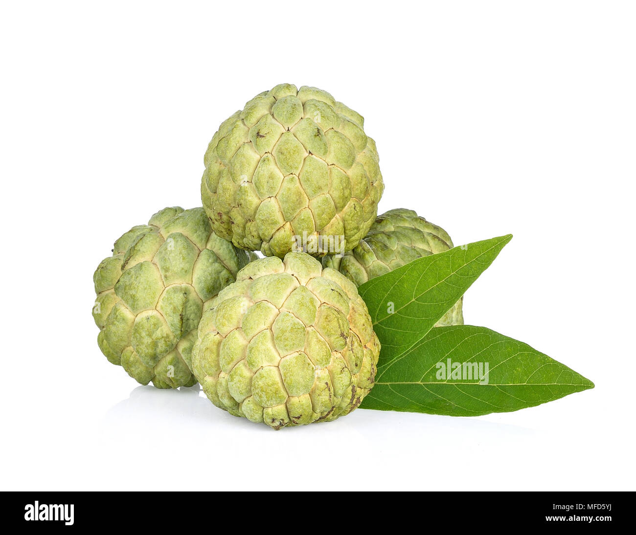 Custard Apple auf weißem Hintergrund Stockfoto