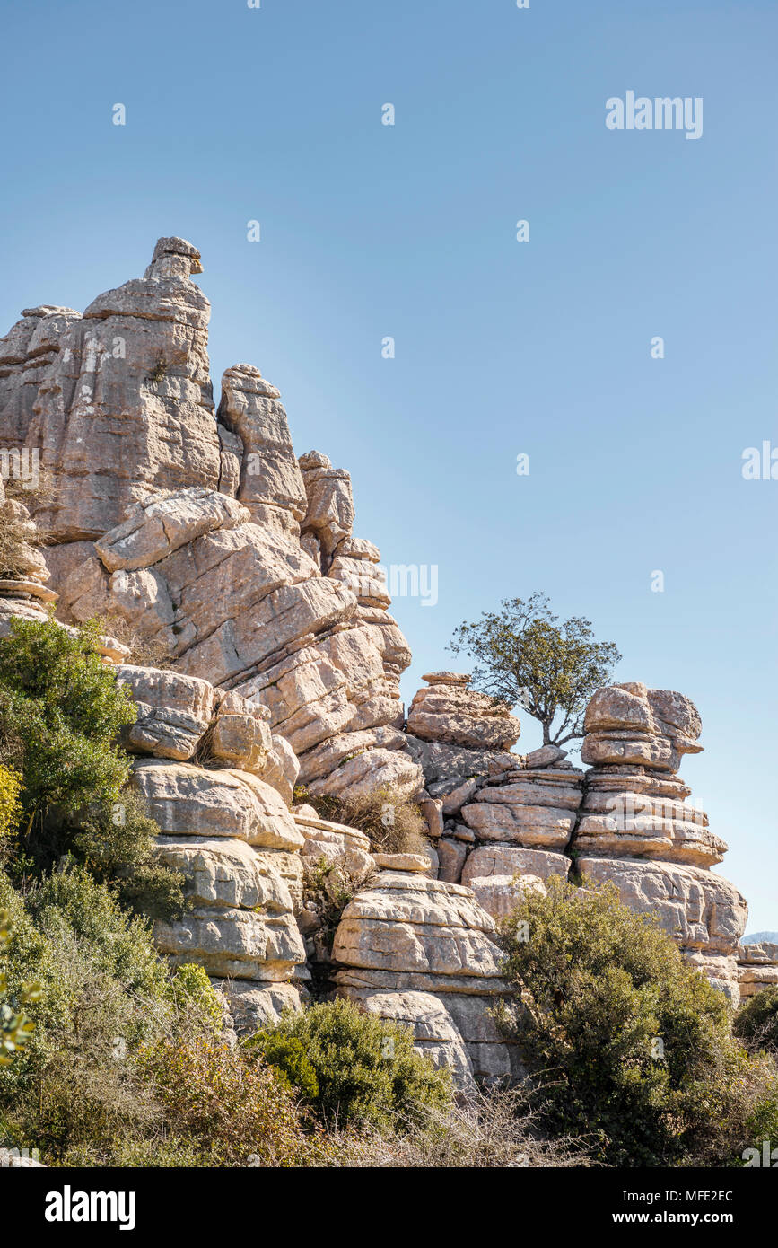 Felsformationen aus Kalkstein, El Torcal Naturpark Torcal de Antequera, Provinz Malaga, Andalusien, Spanien Stockfoto