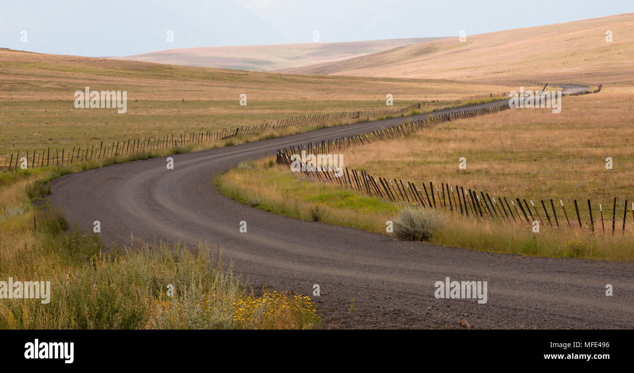 Straße durch die Zumwalt Prairie, der größten verbleibenden bunchgrass Prairie im Pazifischen Nordwesten, in der Nähe von Joseph, Oregon. Stockfoto