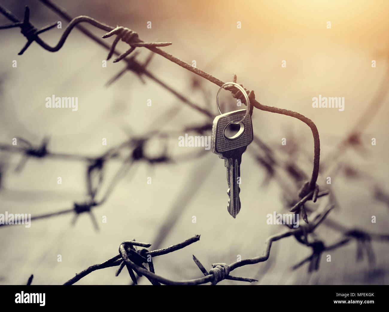 Der Schlüssel hängt an einer rostigen Stacheldraht. Stockfoto