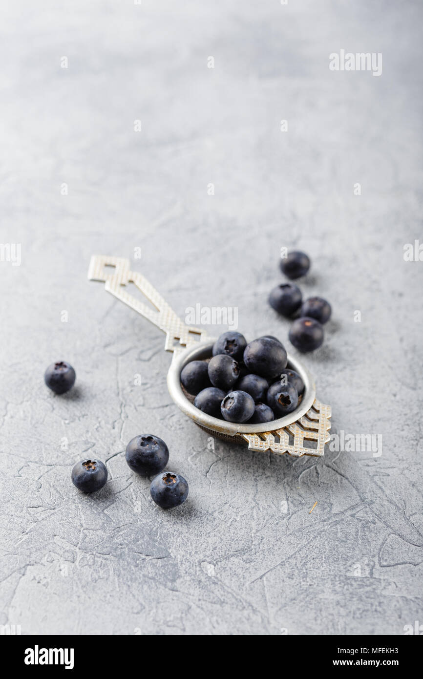 Blaubeeren oder Heidelbeeren in einem antiken Teesieb auf grauem Hintergrund. Gesundes Essen und Ernährung Konzept. Lecker saftig frische organische Beeren. Stockfoto