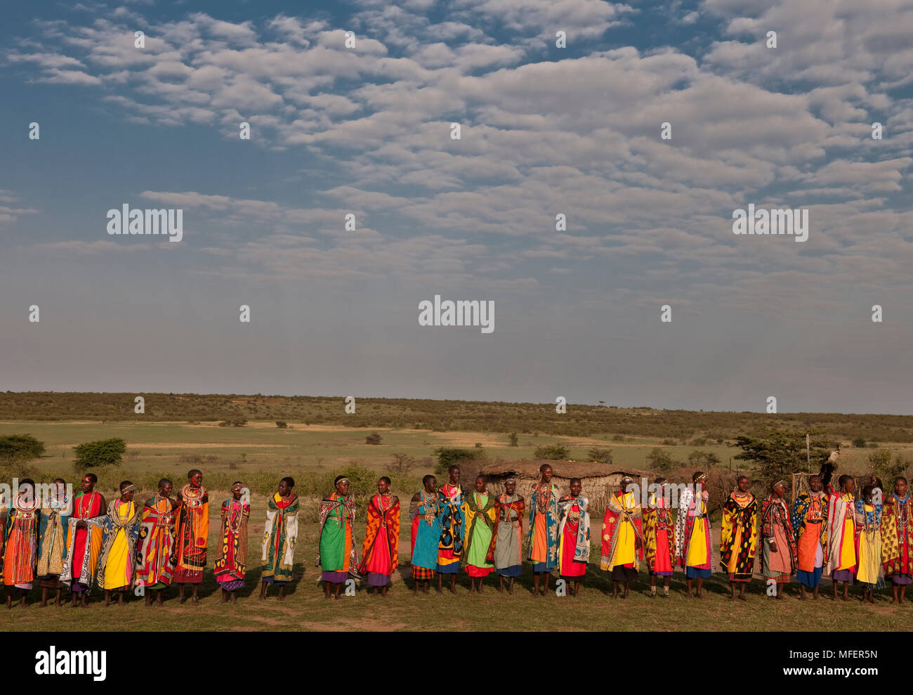 Masai Frauen tanzen und singen ein Lied, Kenia. Stockfoto