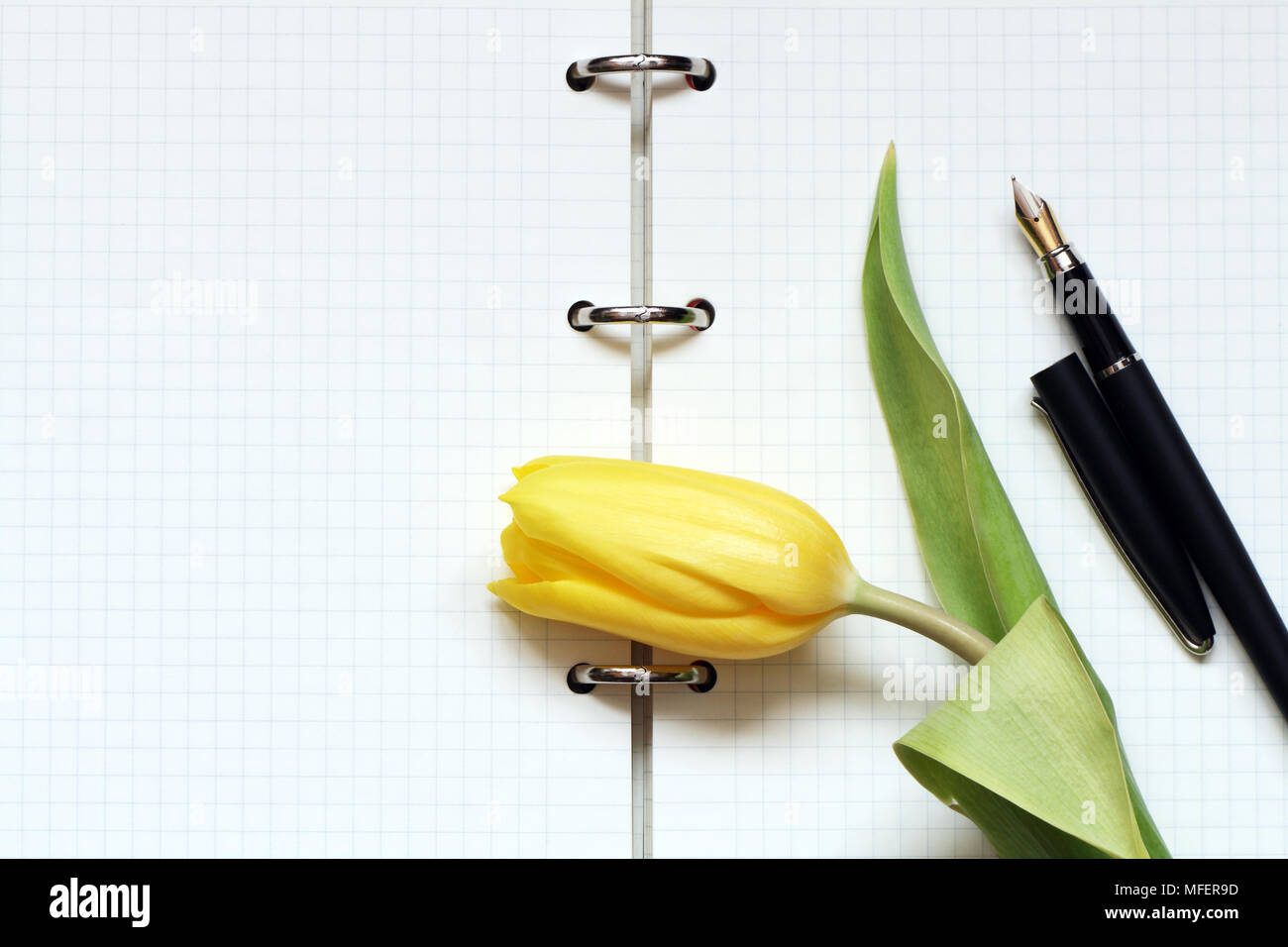 Gelbe Tulpe und Füllfederhalter liegen auf offene Spirale Notebook Stockfoto