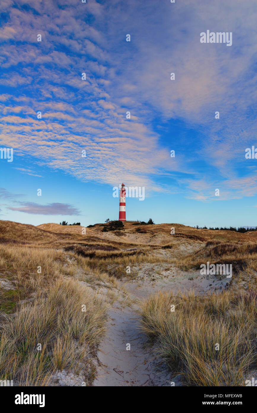 Leuchtturm Amrum auf dem vor der Nordseeinsel Amrum, Nordsee Küste, Orientierung, Wittduen, Amrum, Schleswig-Holstein, Deutschland, Europa Stockfoto