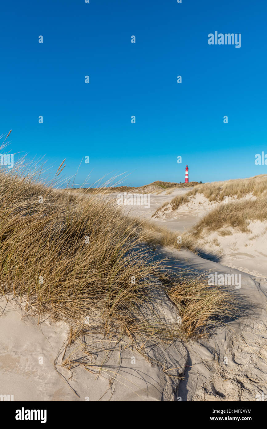 Leuchtturm Amrum auf dem vor der Nordseeinsel Amrum, Nordsee Küste, Orientierung, Wittduen, Amrum, Schleswig-Holstein, Deutschland, Europa Stockfoto