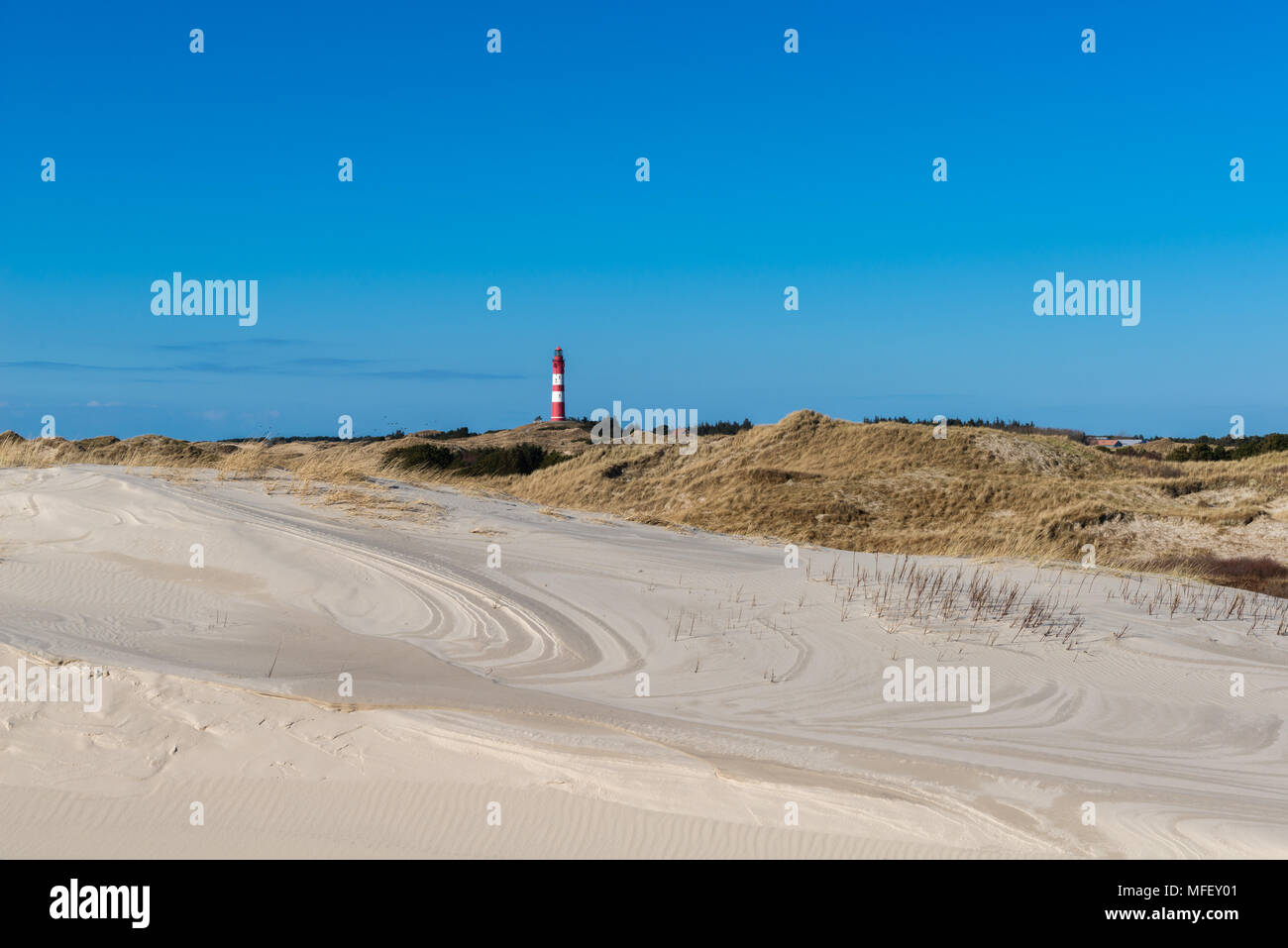 Leuchtturm Amrum auf dem vor der Nordseeinsel Amrum, Nordsee Küste, Orientierung, Wittduen, Amrum, Schleswig-Holstein, Deutschland, Europa Stockfoto