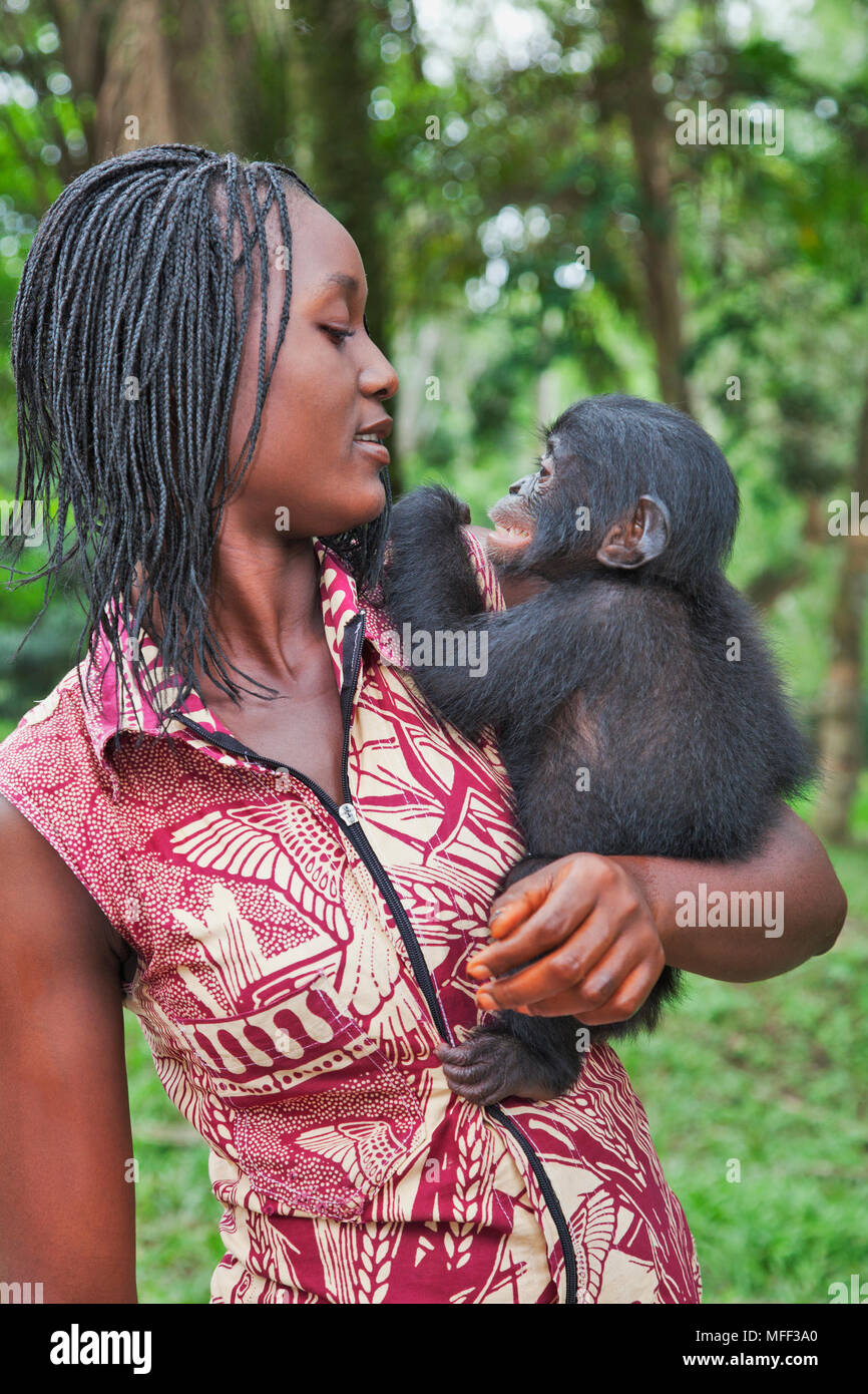 Bonobo/pygmy Schimpansen (Pan paniscus) verwaiste Baby mit Leihmutter, Sanctuary Lola Ya Bonobo Schimpanse, der Demokratischen Republik Kongo. Sechskantschrauben Stockfoto