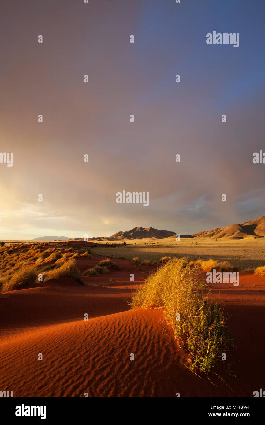 Sonnenuntergang Landschaft zeigt die einzigartige Ökologie der Namibwüste Südwesten oder pro - Namib. NamibRand Nature Reserve, Namibia Stockfoto