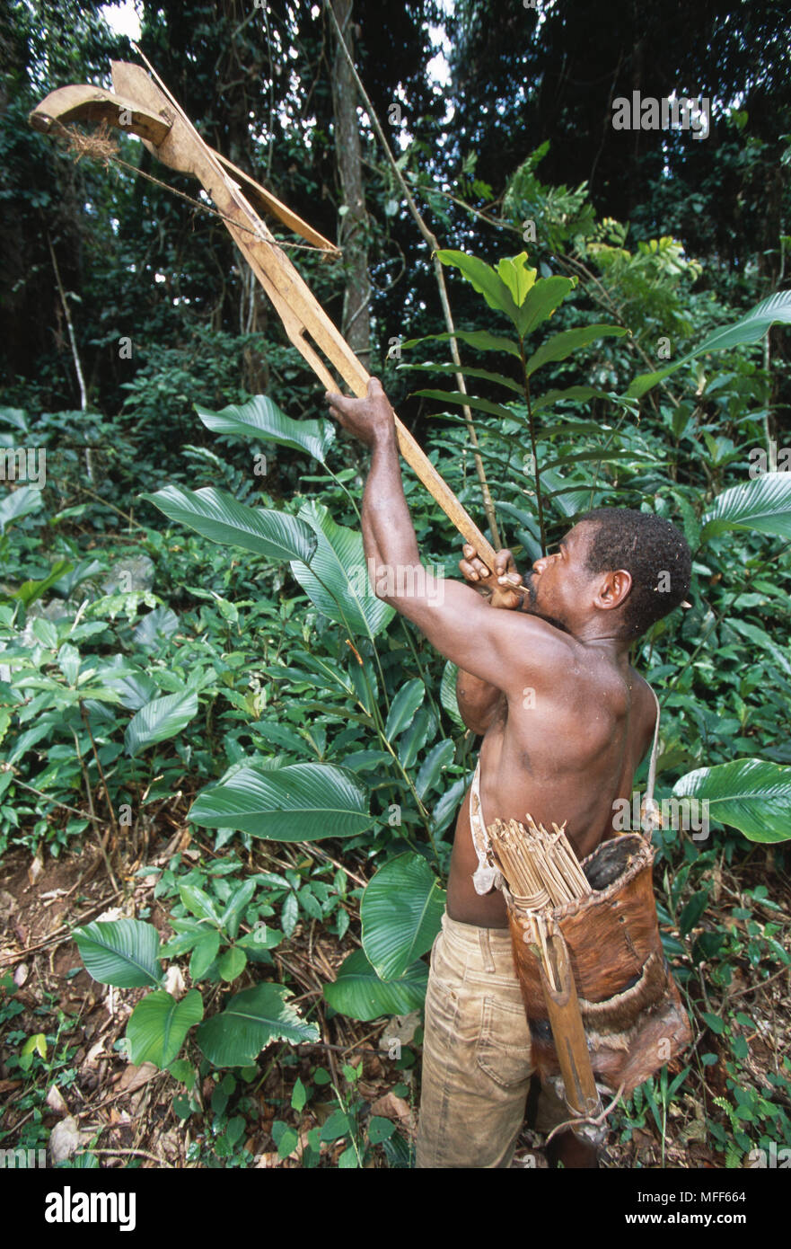 Der Baka Pygmäen stamm Jagd mit Armbrust (subsistenzwirtschaft Hunter ...