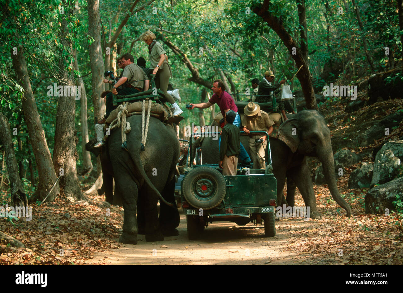 Touristen mit Ein/Aus-Schalter Fahrzeug Elefant Tiger beobachten zu klettern. Bandhavgarth National Park. Indien Stockfoto