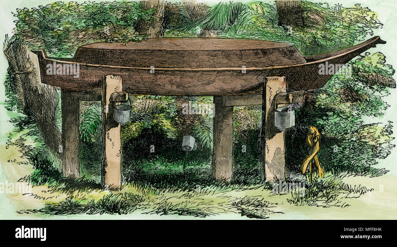 Quenault Modus der Beerdigung in Washington Territorium, 1850. Hand - farbige Holzschnitt Stockfoto