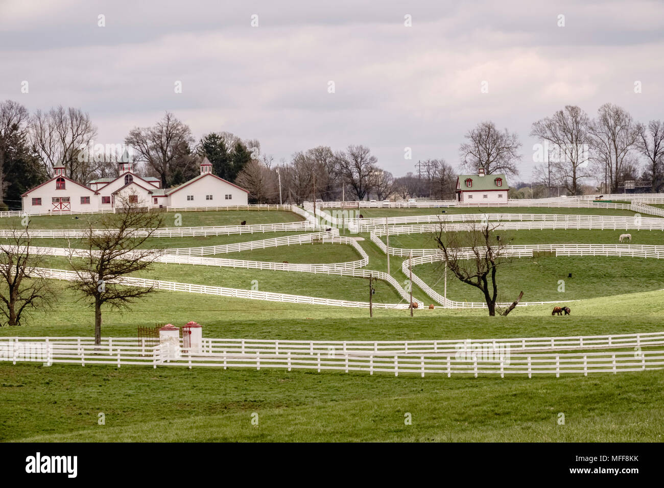 Pastorale Szene in Kentucky Bluegrass Country, mit Pferde weiden hier und da in Paddocks mit langen weißen Zäune in der Nähe von white Scheunen an einem bewölkten da Stockfoto