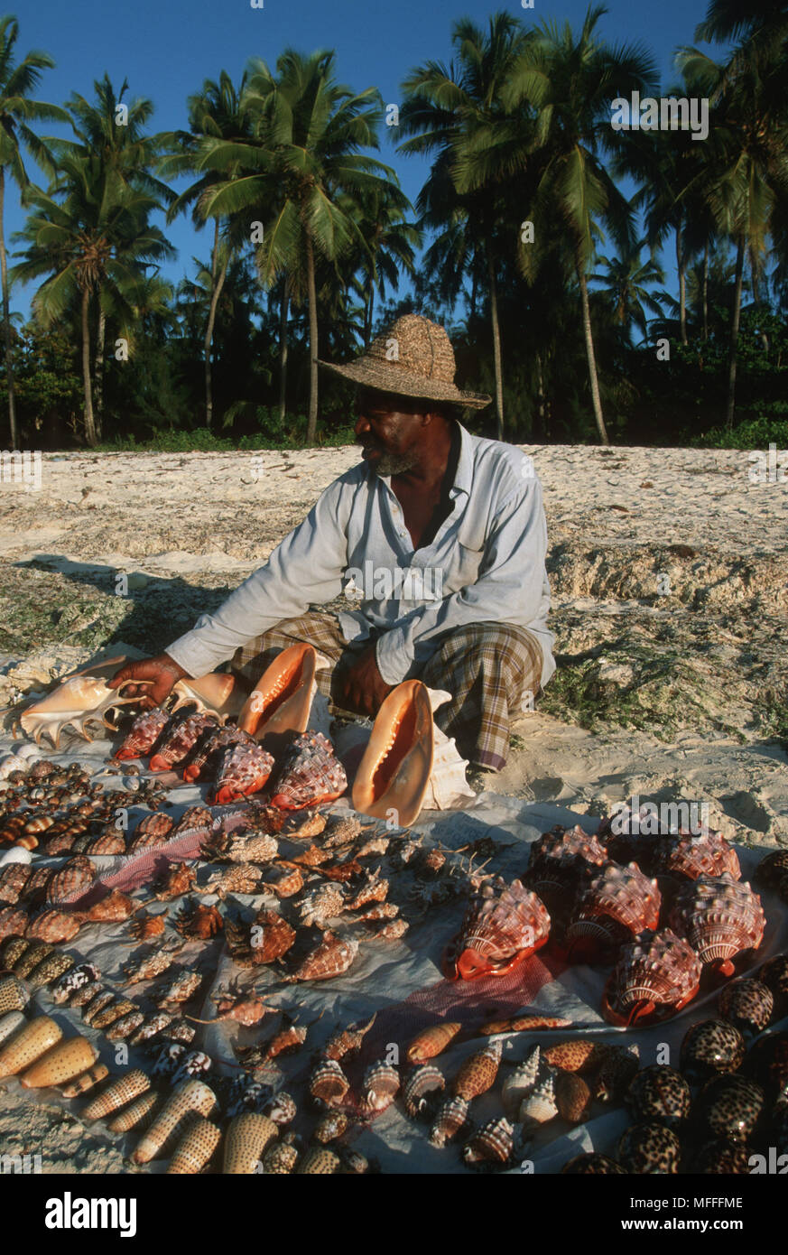Muscheln zum Verkauf am Strand die Insel Sansibar, Tansania. Stockfoto