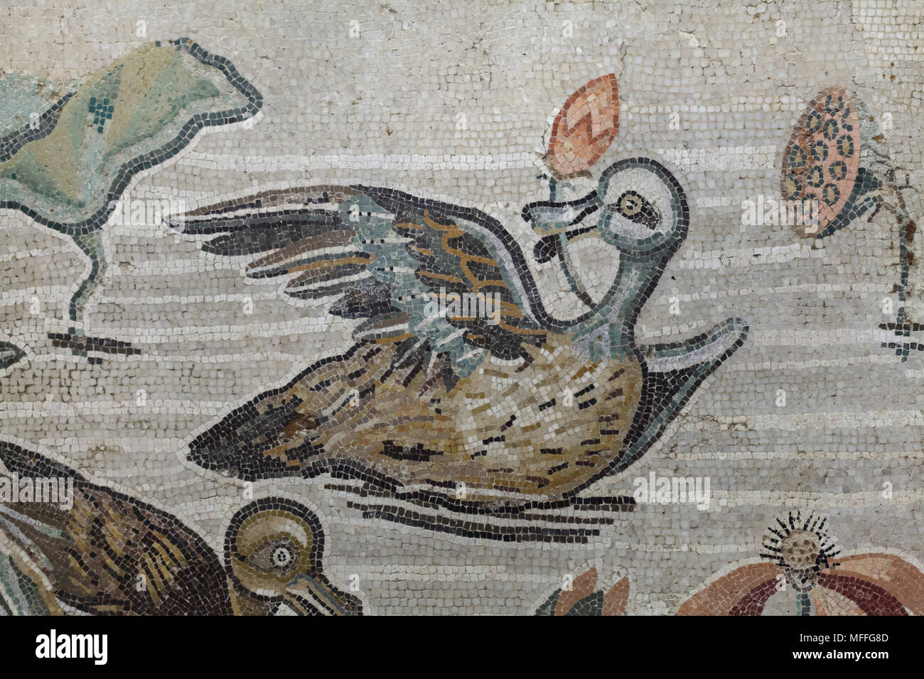 Enten in das römische Mosaik mit der NILOTISCHEN Szene aus der Casa del Fauno (Haus des Faun) in Pompeji dargestellt, nun im Nationalen Archäologischen Museum (Museo Archeologico Nazionale di Napoli) in Neapel, Kampanien, Italien. Stockfoto
