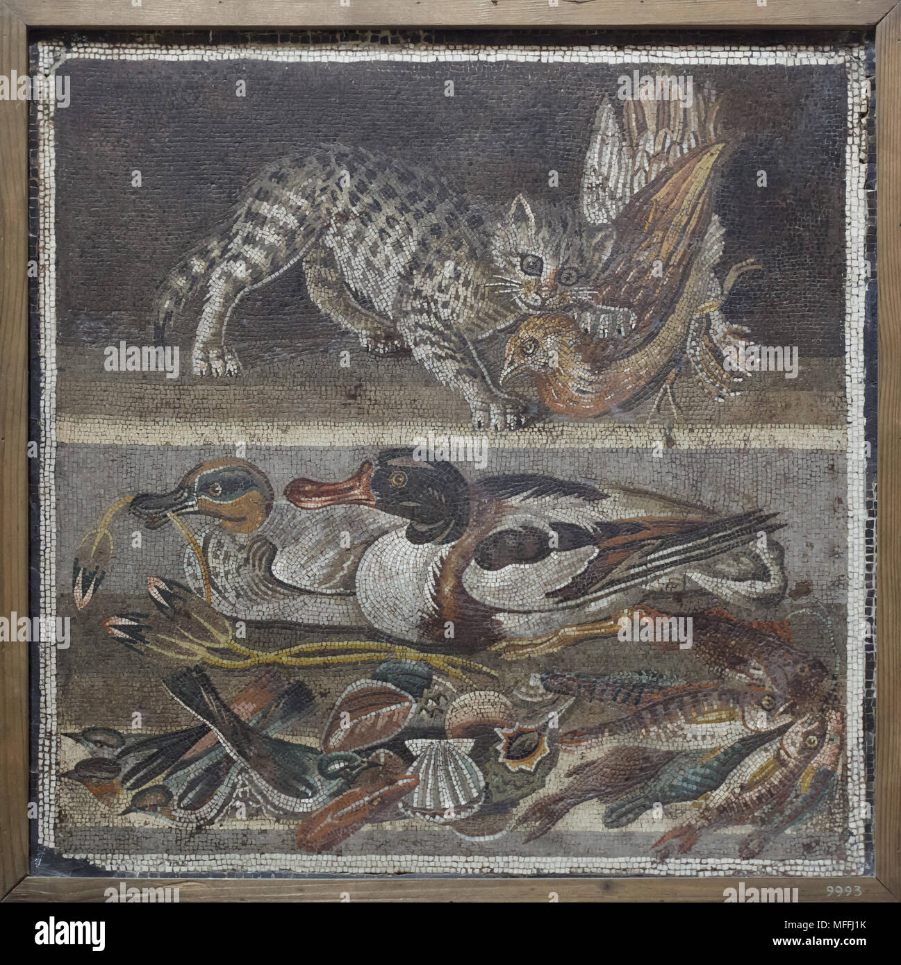 Katze angreift ein Rebhuhn und Enten, Vögel, Fische und Schalentiere in der römischen Mosaik aus der Casa del Fauno (Haus des Faun) in Pompeji dargestellt, nun im Nationalen Archäologischen Museum (Museo Archeologico Nazionale di Napoli) in Neapel, Kampanien, Italien. Eurasischen teal (Anas crecca) auf der linken und die brandente (Tadorna tadorna) an der rechten sind in der Mosaik dargestellt. Stockfoto