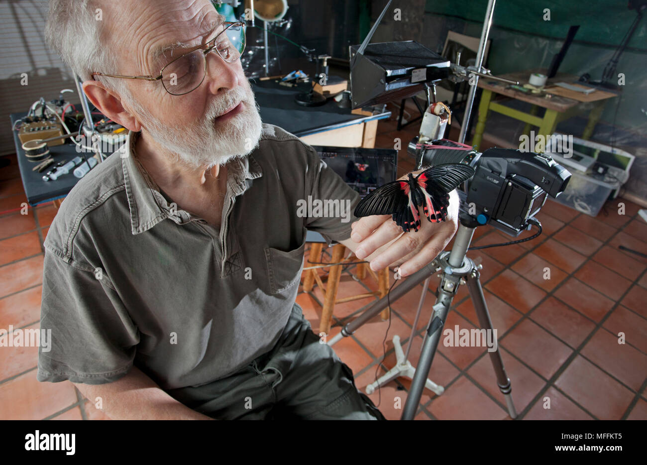 STEPHEN DALTON mit Schmetterling und Hi-speed Fotografie im Studio Stockfoto