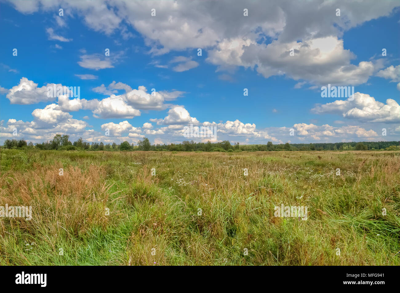 Normale russische Landschaft mit einem breiten Feld und Himmel. Stockfoto