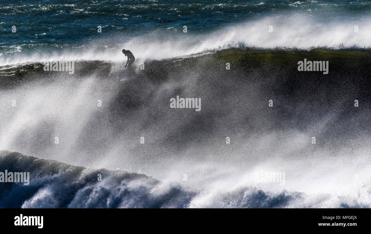 Ein Surfer auf dem Kamm eines riesigen kraftvolle Welle aus Fistral Beach in Newquay in Cornwall. Stockfoto