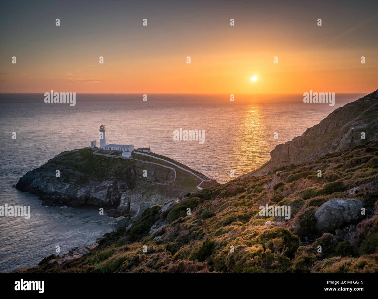 Ynys Lawd, South Stack, Anglesey, Wales, Vereinigtes Königreich Stockfoto