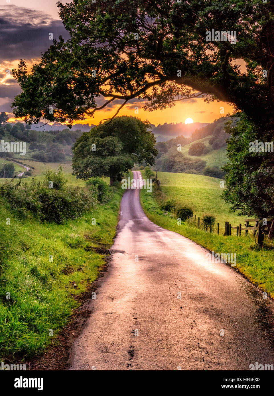 Die Schraubeum Stockfoto