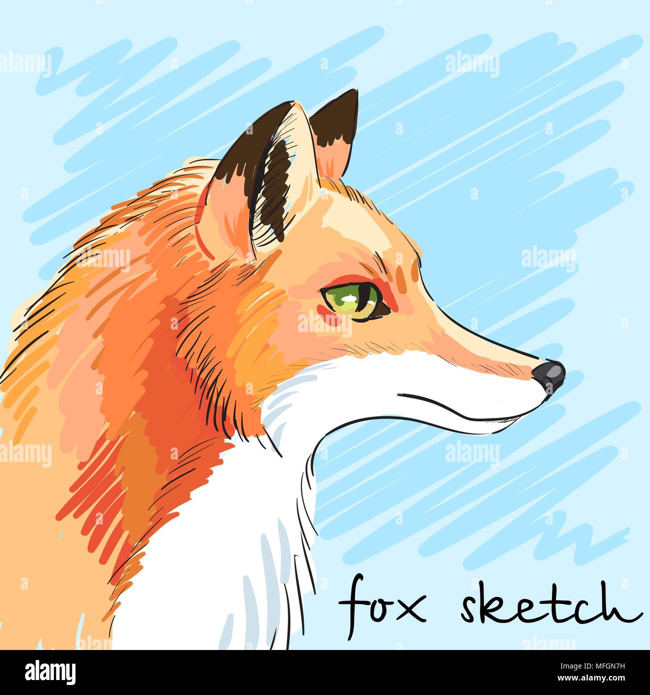 Portrait Von Rauberischen Fuchs Von Hand Gezeichnet Individuelle Corporate Identity Es Konnen Als Postkarte Verwendet Werden Vector Illustration Stock Vektorgrafik Alamy