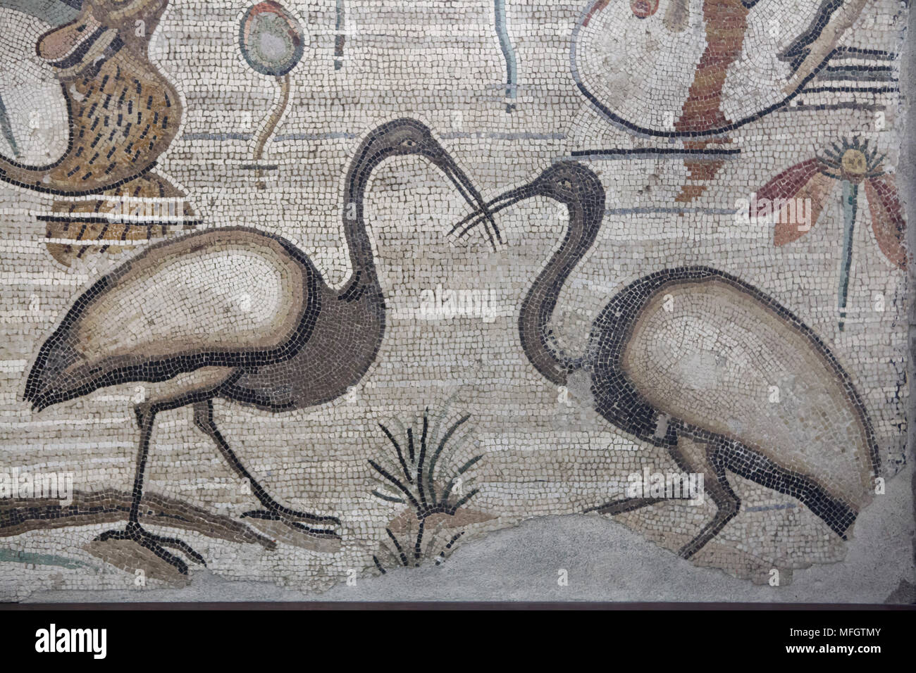 Afrikanische heilige Ibisse (Threskiornis aethiopicus) in das römische Mosaik mit der NILOTISCHEN Szene aus der Casa del Fauno (Haus des Faun) in Pompeji dargestellt, nun im Nationalen Archäologischen Museum (Museo Archeologico Nazionale di Napoli) in Neapel, Kampanien, Italien. Stockfoto