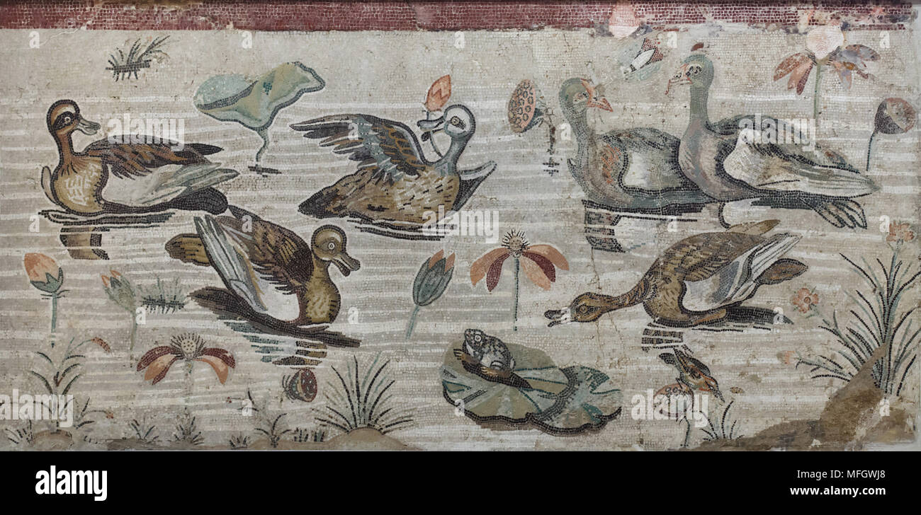 Enten und der Frosch in der römischen Mosaik mit der NILOTISCHEN Szene aus der Casa del Fauno (Haus des Faun) in Pompeji dargestellt, nun im Nationalen Archäologischen Museum (Museo Archeologico Nazionale di Napoli) in Neapel, Kampanien, Italien. Stockfoto