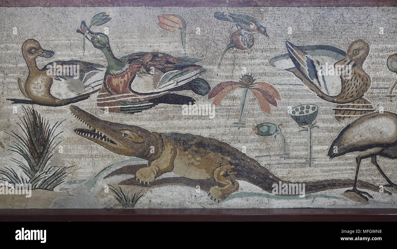 Nilkrokodil (Crocodylus niloticus) in das römische Mosaik mit der NILOTISCHEN Szene aus der Casa del Fauno (Haus des Faun) in Pompeji dargestellt, nun im Nationalen Archäologischen Museum (Museo Archeologico Nazionale di Napoli) in Neapel, Kampanien, Italien. Stockfoto