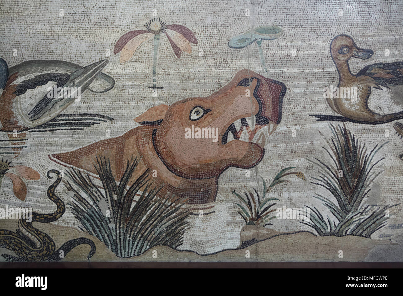 Flusspferd (Hippopotamus amphibius) in das römische Mosaik mit der NILOTISCHEN Szene aus der Casa del Fauno (Haus des Faun) in Pompeji dargestellt, nun im Nationalen Archäologischen Museum (Museo Archeologico Nazionale di Napoli) in Neapel, Kampanien, Italien. Stockfoto