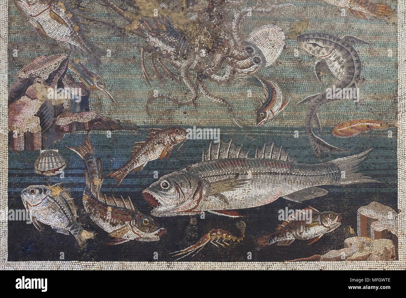 Fisch in der römischen Mosaik aus dem TRICLINIUM der Casa del Fauno (Haus des Faun) in Pompeji dargestellt, nun im Nationalen Archäologischen Museum (Museo Archeologico Nazionale di Napoli) in Neapel, Kampanien, Italien. Stockfoto