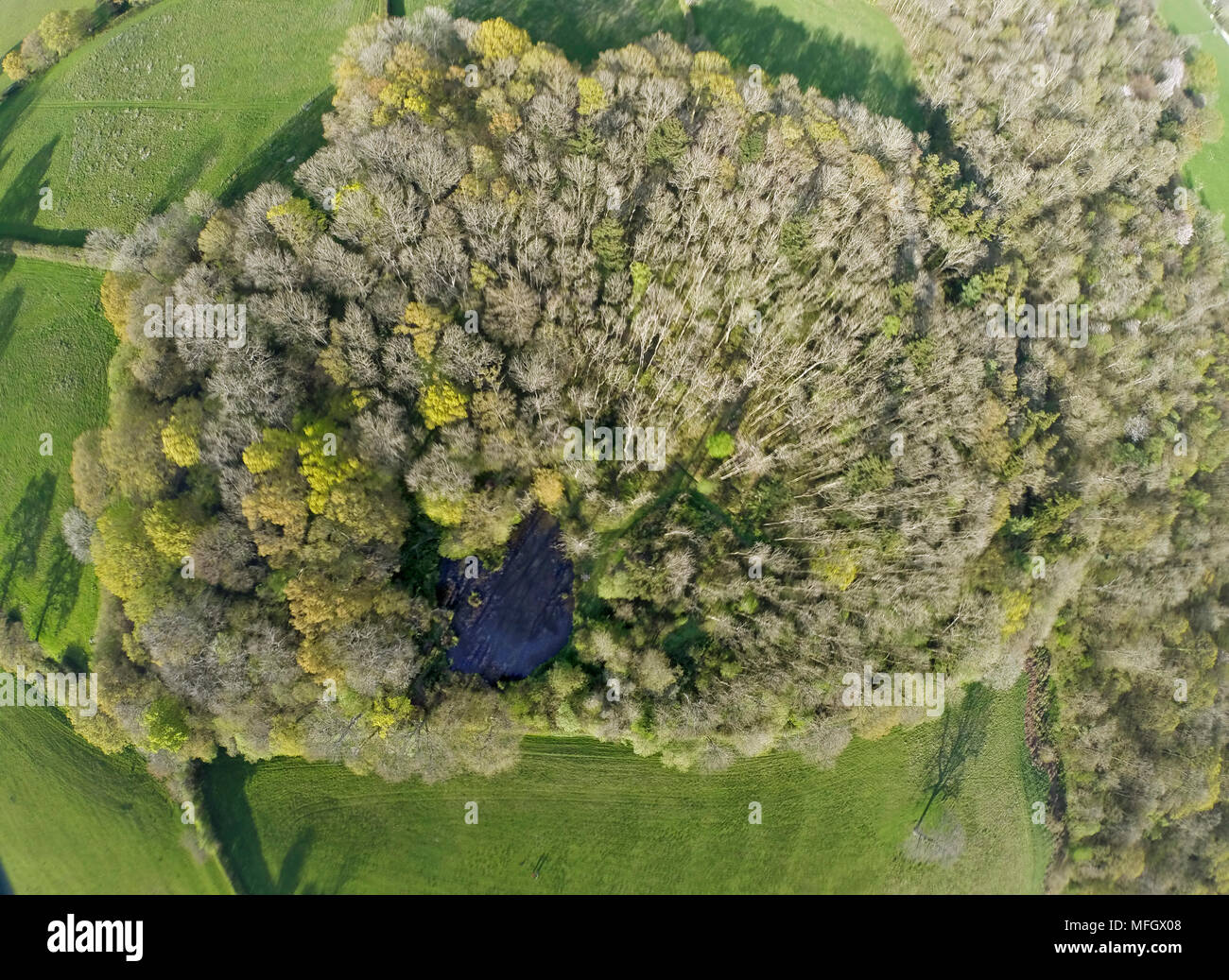 ROOKERY HOLZ Sussex, im Frühjahr mit Teich auf der Südseite (von einer Drohne Quad fotografiert) Stockfoto