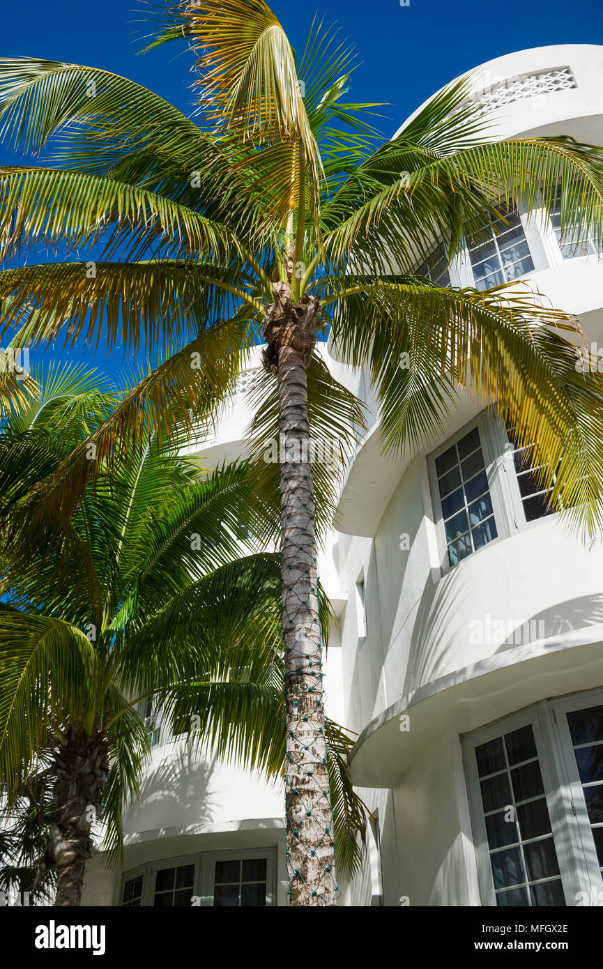 Typische 30er Jahre Art-deco-Architektur und Palmen am Ocean Drive, Miami Beach. Stockfoto