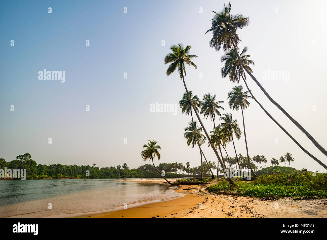 Fluss im Meer südlich von Buchanan, Liberia, Westafrika, Afrika Stockfoto