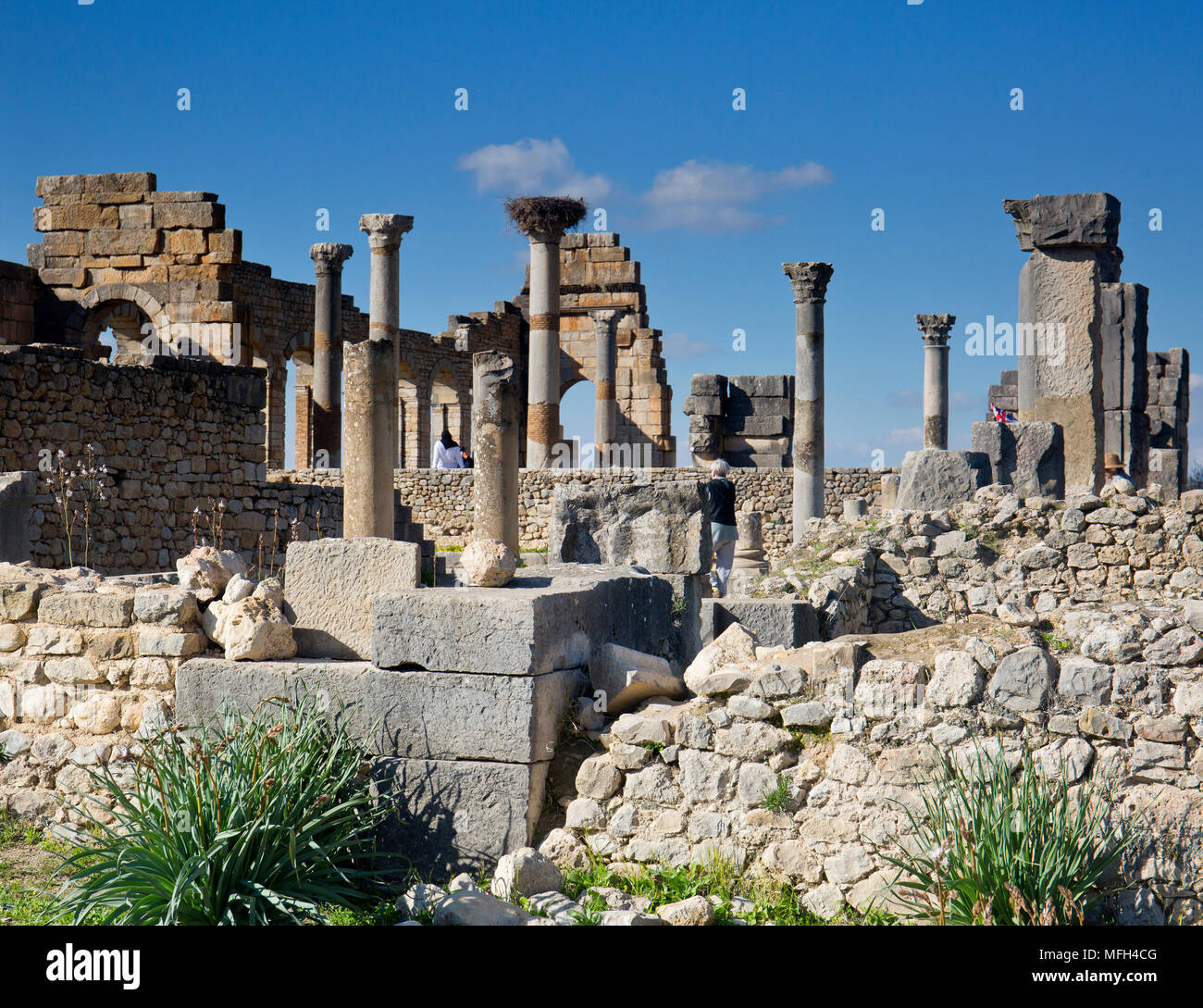 Der römischen Stadt Volubilis in der Nähe von Meknes, Marokko Stockfoto