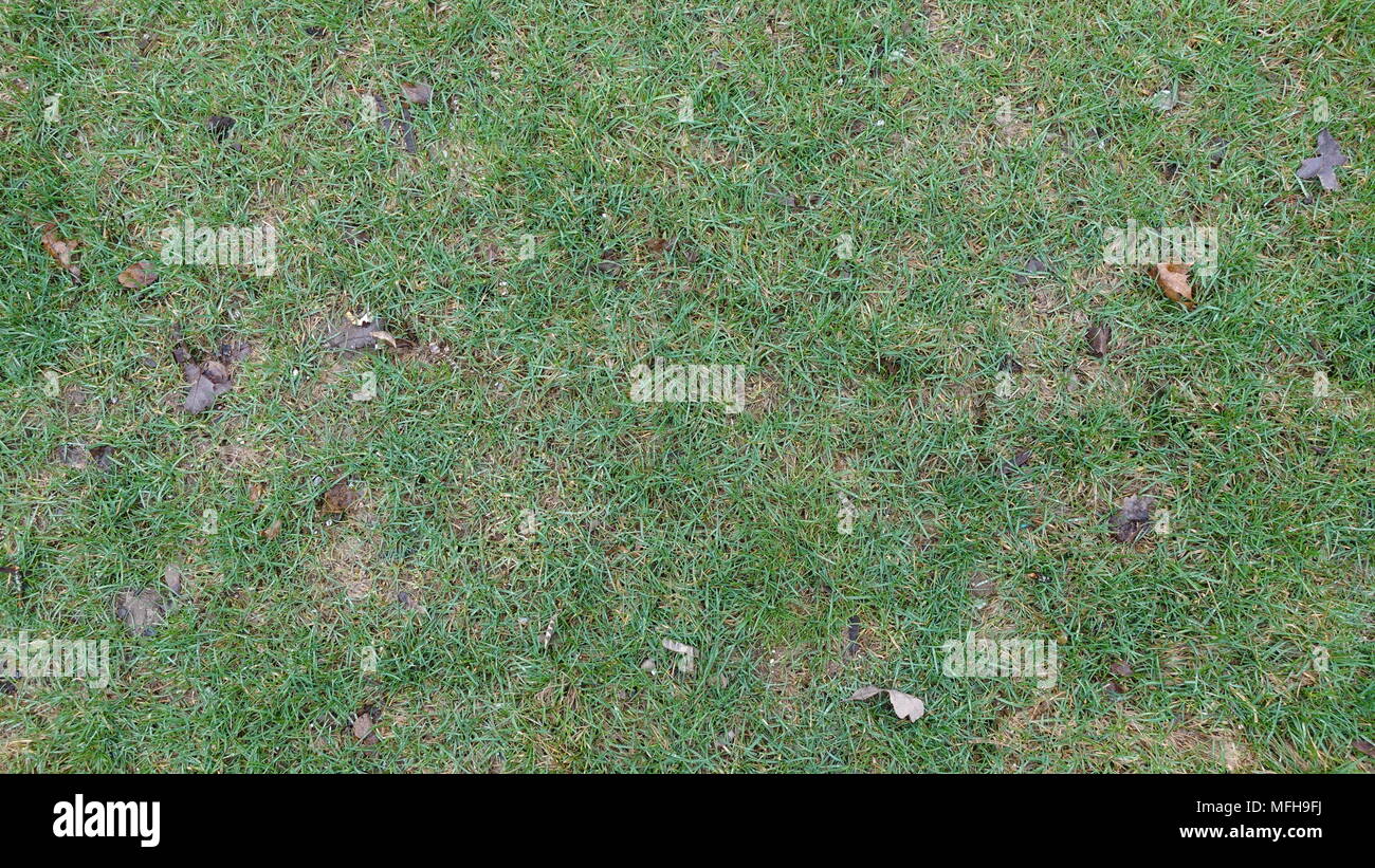 Strukturtapete Hintergrund Foto mit verschiedenen Materialien, die Sie in Ihrer Fotografie Projekte verwenden können. Stockfoto