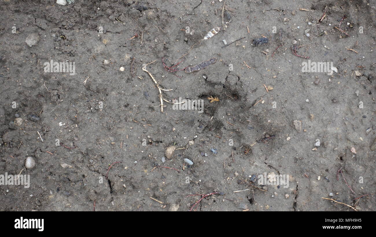 Strukturtapete Hintergrund Foto mit verschiedenen Materialien, die Sie in Ihrer Fotografie Projekte verwenden können. Stockfoto