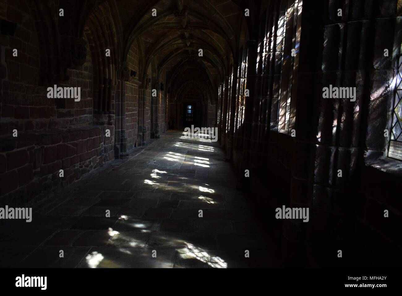 Die Kathedrale von Chester Kreuzgang Einweichen in der nachmittagssonne Stockfoto