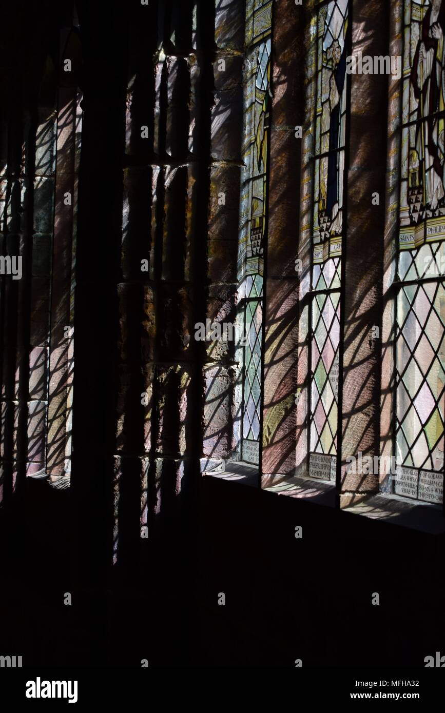 Die Kathedrale von Chester Kreuzgang Einweichen in der nachmittagssonne Stockfoto