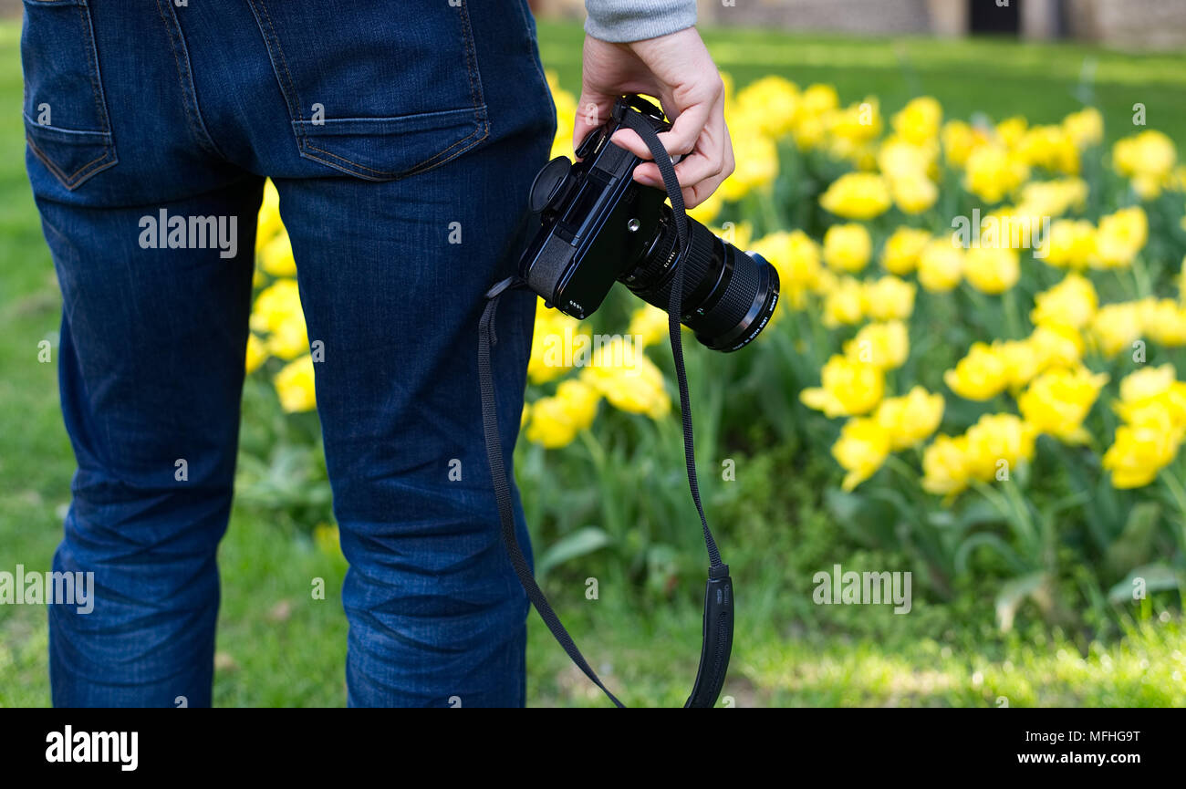 Mann in Jeans mit einem alten Canon A-1 Film Kamera auf dem Gelände der Marienkirche in Hemel Hempstead Stockfoto
