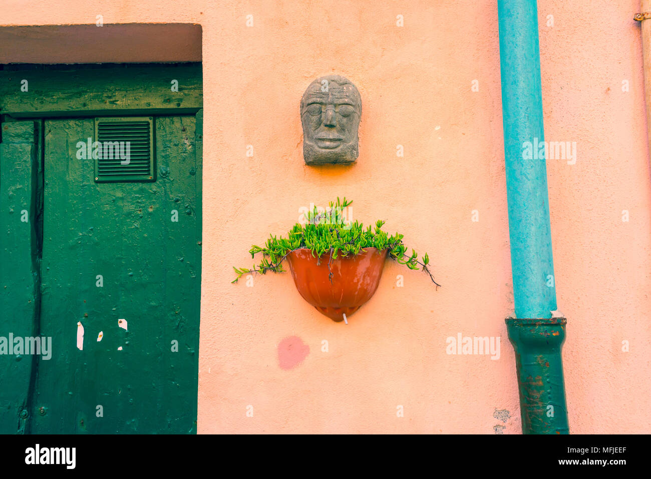Pflanze im Topf zu einer Rosa pastellfarbenen Wand mit alten grünen Holztür angebracht, hellblau Dachrinne und kleinen Gesicht Skulpturen in Stein. Cinque Terre, ICH Stockfoto