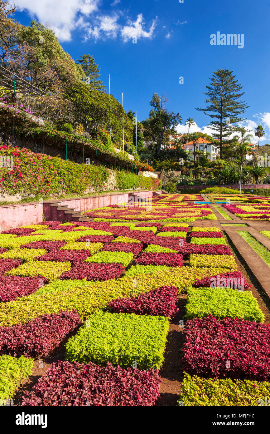Garten in Madeira Botanische Garten (Jardim Botanico), oberhalb der Hauptstadt Funchal, Madeira, Portugal, Atlantik, Europa Stockfoto