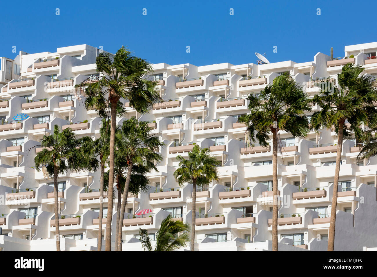 Apartment Block und Palmen, mit Blick auf die Playa del Matorral, in Morro Jable, auf der Vulkaninsel Fuerteventura, Kanarische Inseln, Spanien Stockfoto