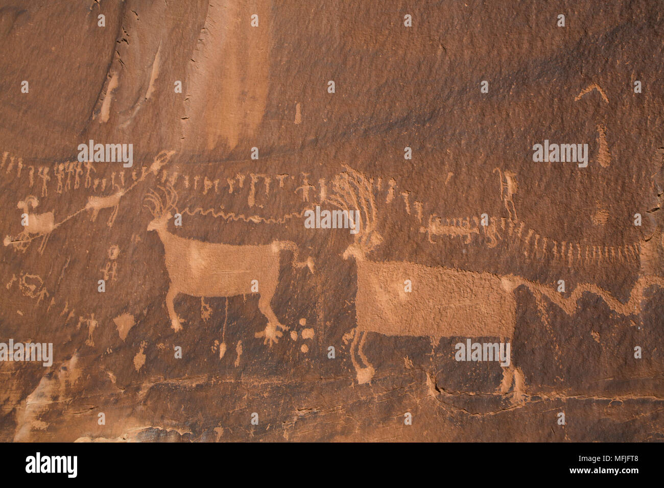 Petrogylph, Prozession, Butler Waschen, Shash Jaa National Monument, Utah, Vereinigte Staaten von Amerika, Nordamerika Stockfoto