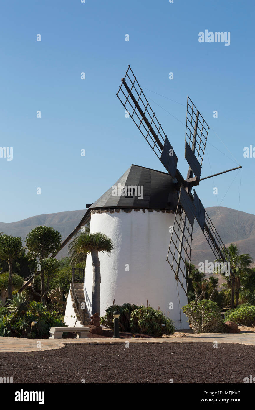 Mühle im Museo del Queso Majorero in der Nähe von Antigua auf Fuerteventura, Kanarische Inseln, Spanien, Atlantik, Europa Stockfoto