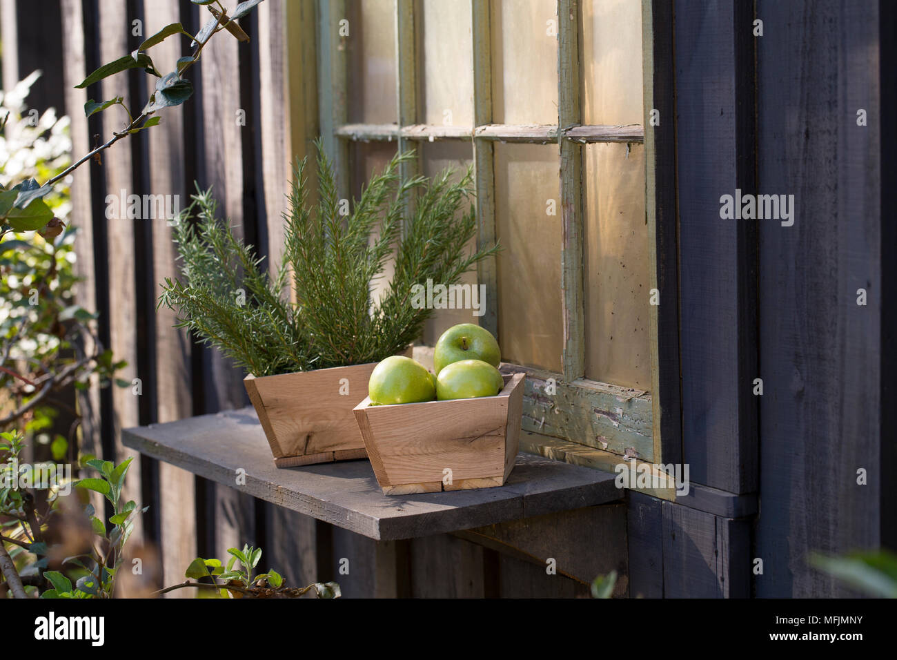 Einen Behälter mit Äpfeln und Rosmarin sitzen auf fensterbank an einem Bauernhof in Roland, Arkansas. Stockfoto