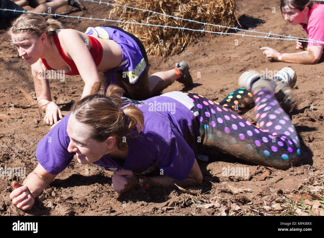 Frauen kriechen durch den Schlamm, wie sie in der Spartanischen Rennen konkurrieren. Stockfoto Frauen kriechen durch den Schlamm, wie sie in der Spartanischen Rennen konkurrieren. Stockfoto