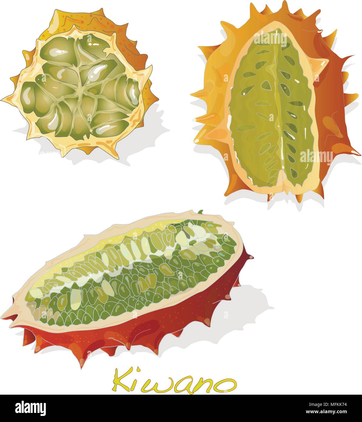 Kiwano Melone auf weißem Hintergrund Abbildung Stock Vektor