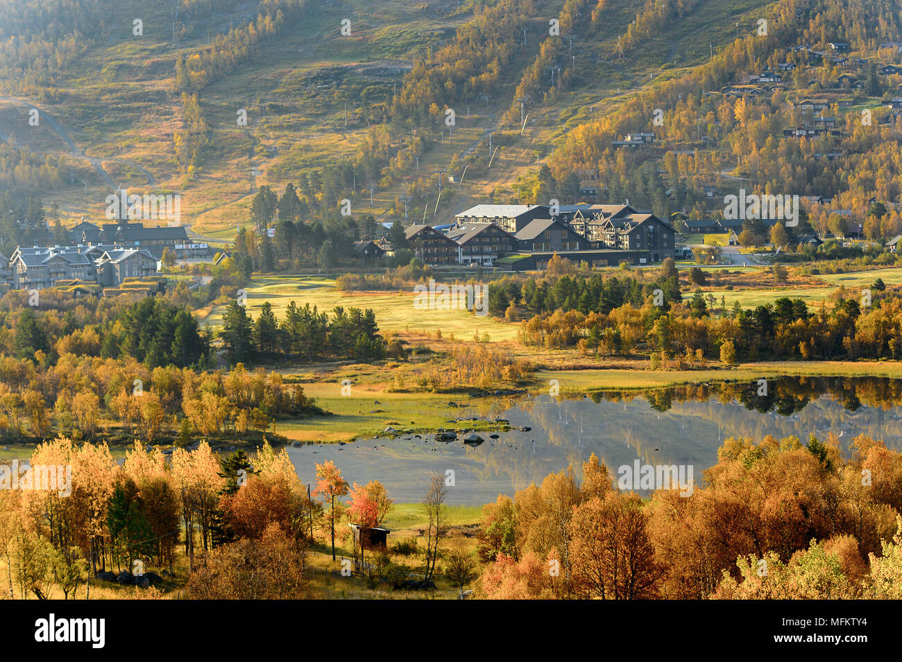 Natur in Geilo Hardangervidda Plateau, Norwegen, Europa. Stockfoto