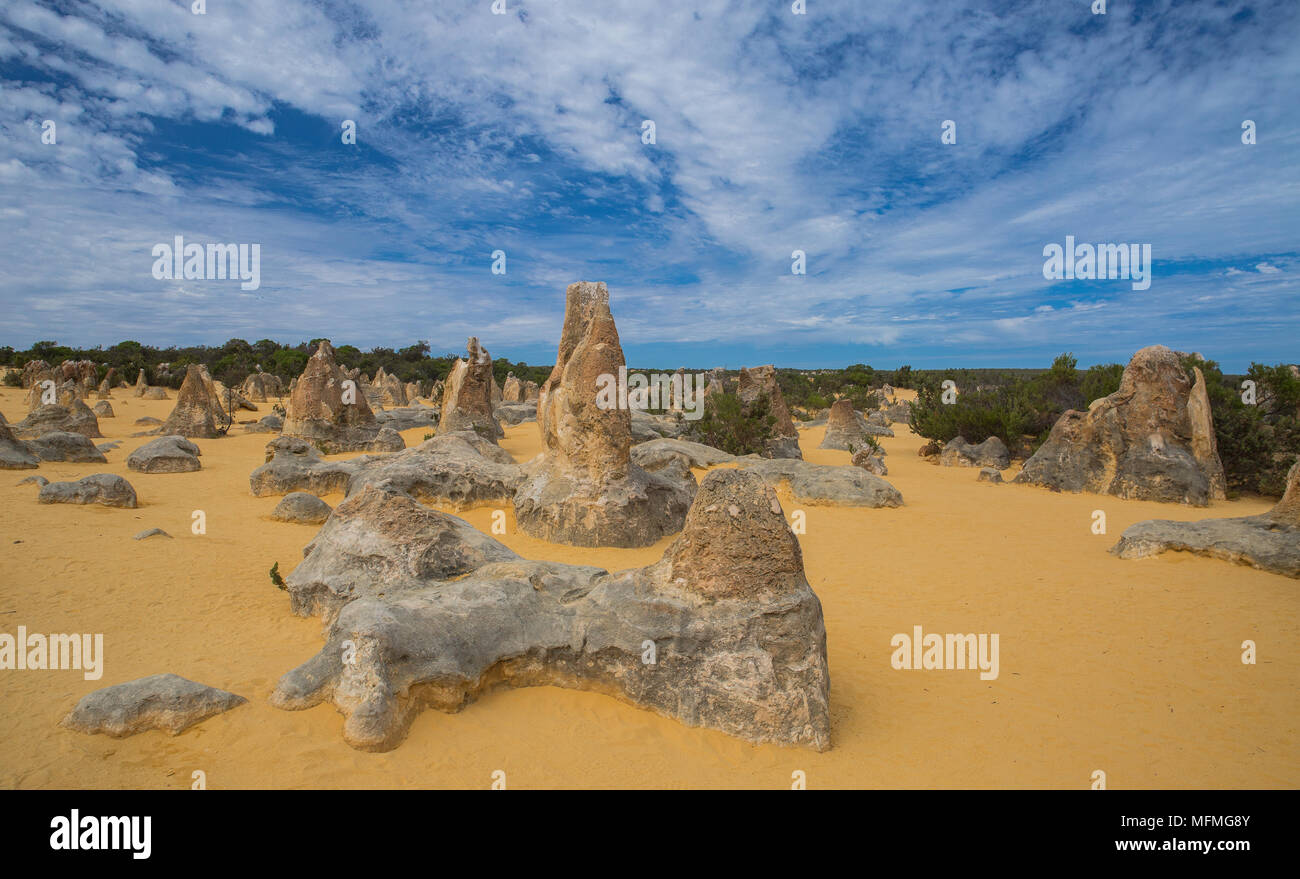 Die Pinnacles, kalkstein formationen Nambung National Park, in der Nähe von Cervantes, Western Australia Stockfoto
