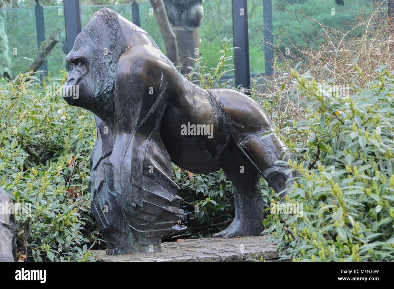 Gorilla Statue der Artis Zoo Amsterdam Die Netherllands Stockfoto